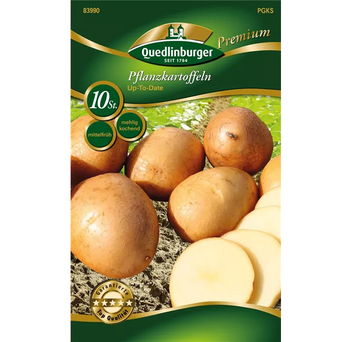 Pflanzkartoffel 'Up-To-Date' (mehlig kochend)