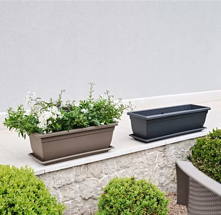 Balkonkasten Cortina Nara