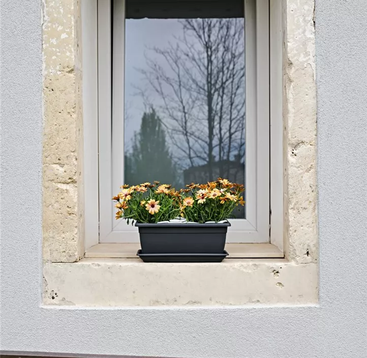 Balkonkasten Cortina Nara