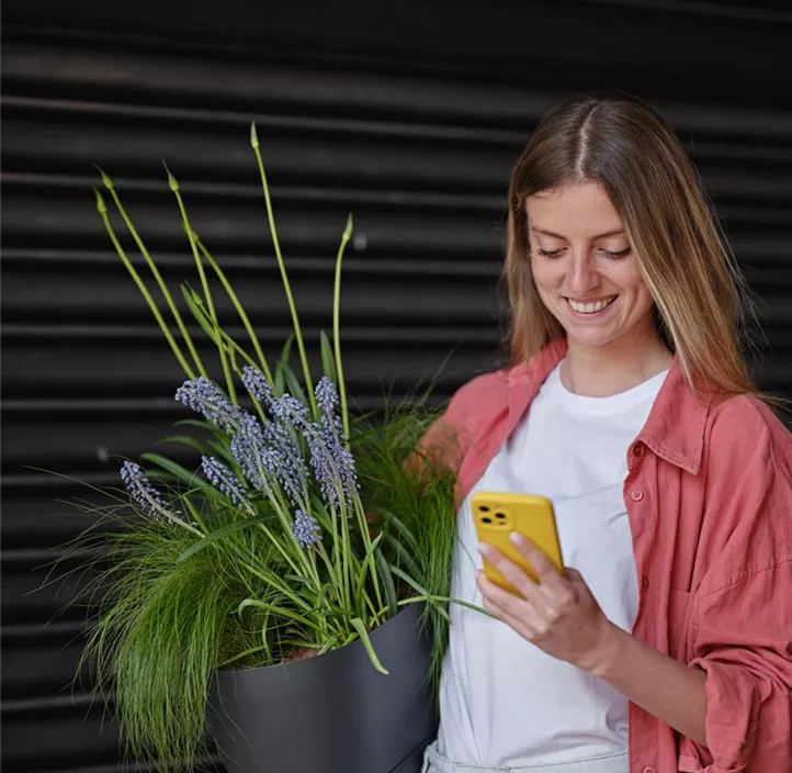 Blumenkasten Vega inkl. Untersetzer