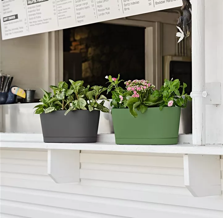 Blumenkasten Vega inkl. Untersetzer