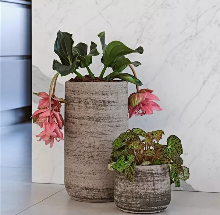Pflanzvase Sovereto