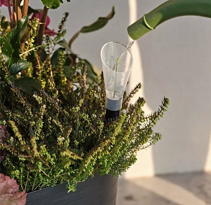 Wasserstandsanzeiger