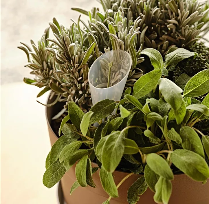 Wasserstandsanzeiger