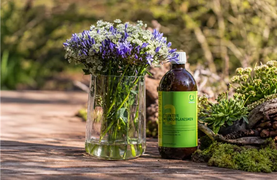 effektive Mikroorganismen aktiv.png