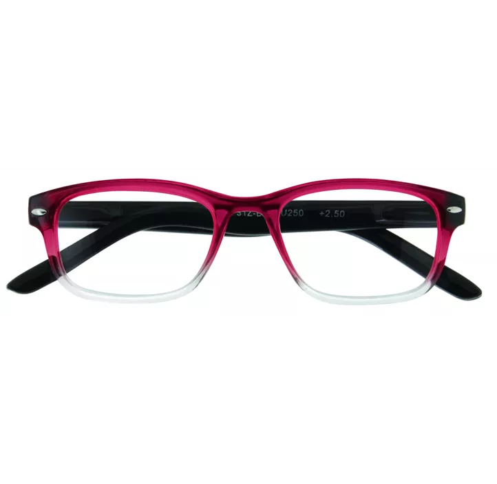 Lesebrille 31Z-B1