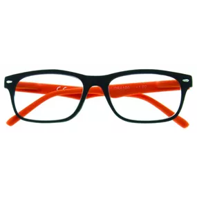 Lesebrille 31Z-B3