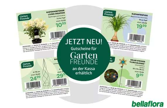 GartenFreunde GS Mai+Juni Bild.png