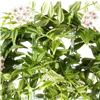 bellaflora Gartencenter GmbH