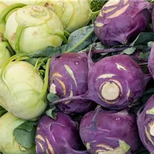 bellaflora Biogarten Gemüsevielfalt