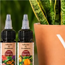 biogarten Aufbaukuren