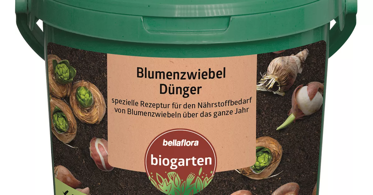 Blumenzwiebeldnger - Bellaflora