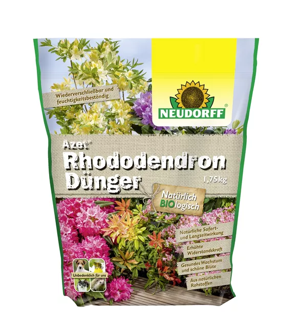 Azet Rhododendrondnger - Bellaflora