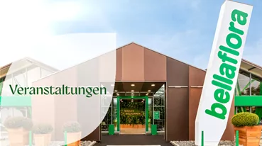 Veranstaltungen Ad.png