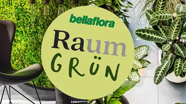 Raumgrün Ad.png
