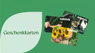 Geschenkkarten Ad.png