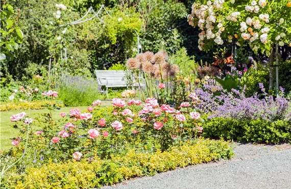Rosengarten