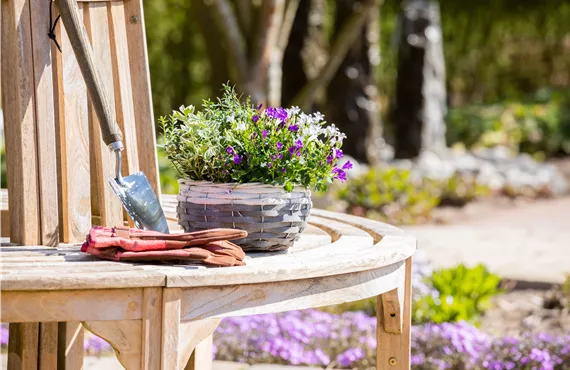 Bepflanzter Übertopf im Gartenambiente