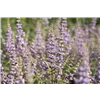 bellaflora Gartencenter GmbH