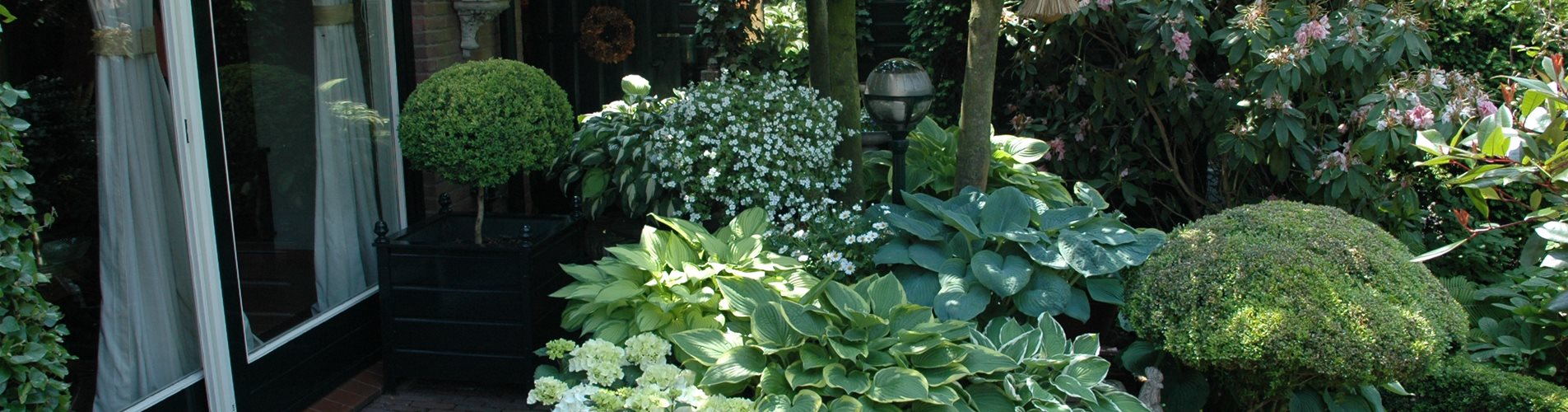 Schattengarten Schattengarten