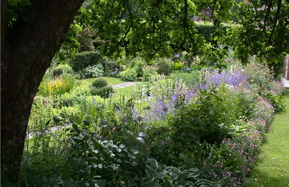 Gartenansicht mit Schattenbeet