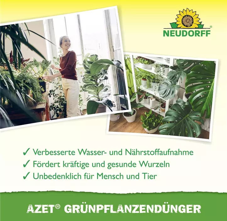 Azet Grünpflanzendünger