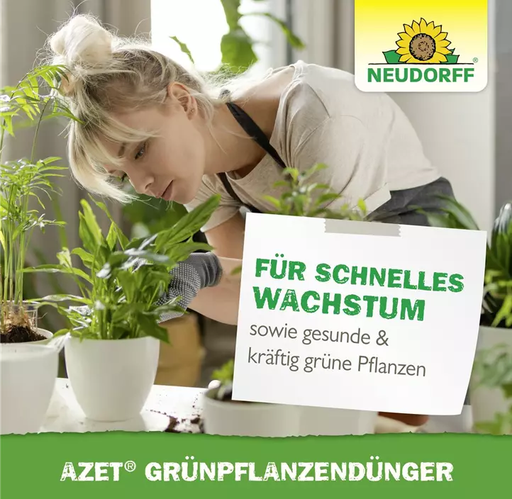 Azet Grünpflanzendünger