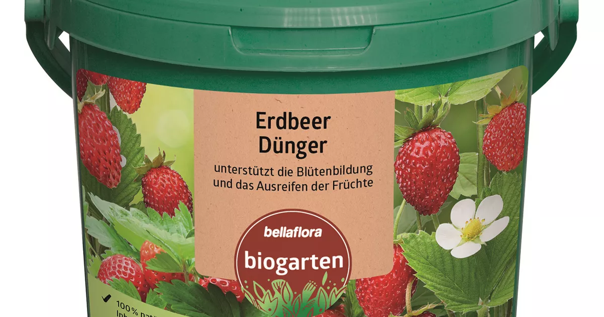 Erdbeerdnger - Bellaflora