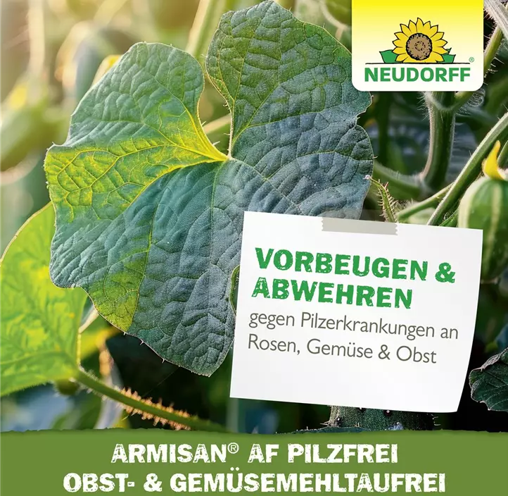 Armisan PilzFrei Obst- und Gemüse MehltauFrei anwendungsfertig