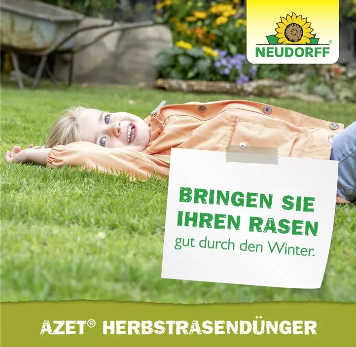 Azet Herbst Rasendünger, 20 kg