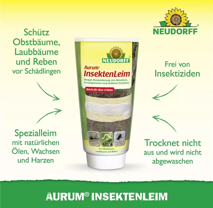 Aurum Insektenleim