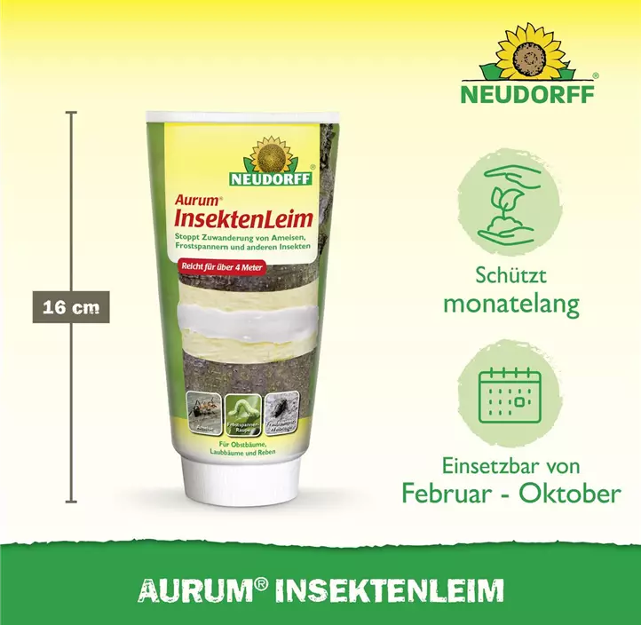 Aurum Insektenleim