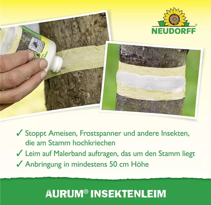 Aurum Insektenleim