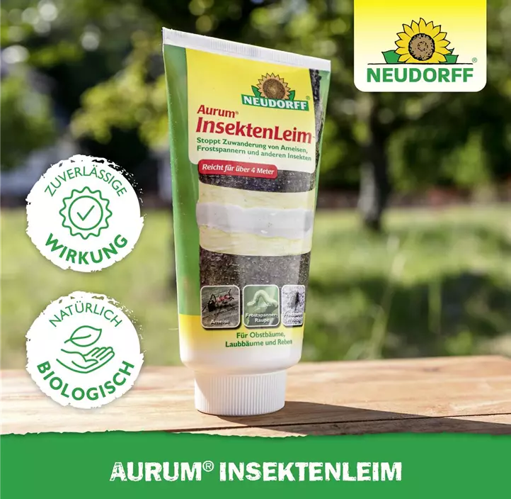 Aurum Insektenleim