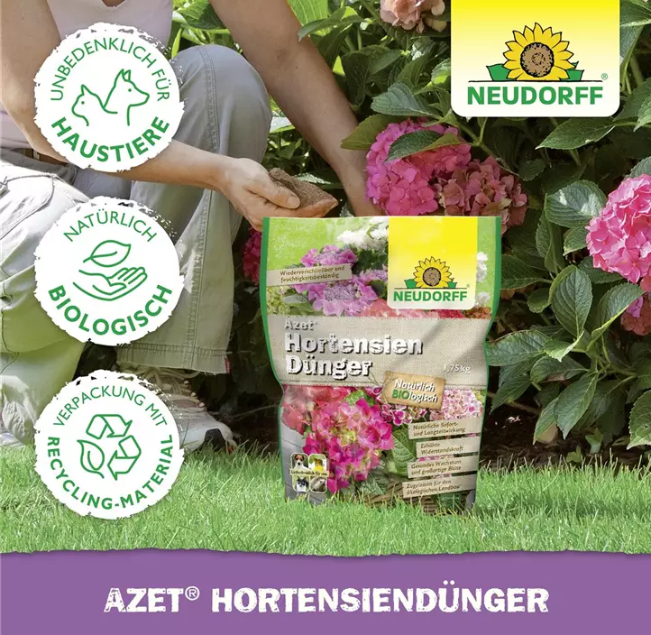 Azet Hortensiendünger