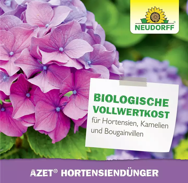 Azet Hortensiendünger