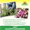 bellaflora Gartencenter GmbH