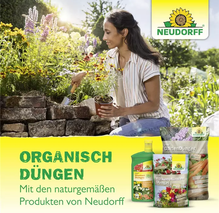Azet Koniferendünger