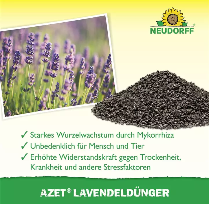 Azet Lavendel Dünger