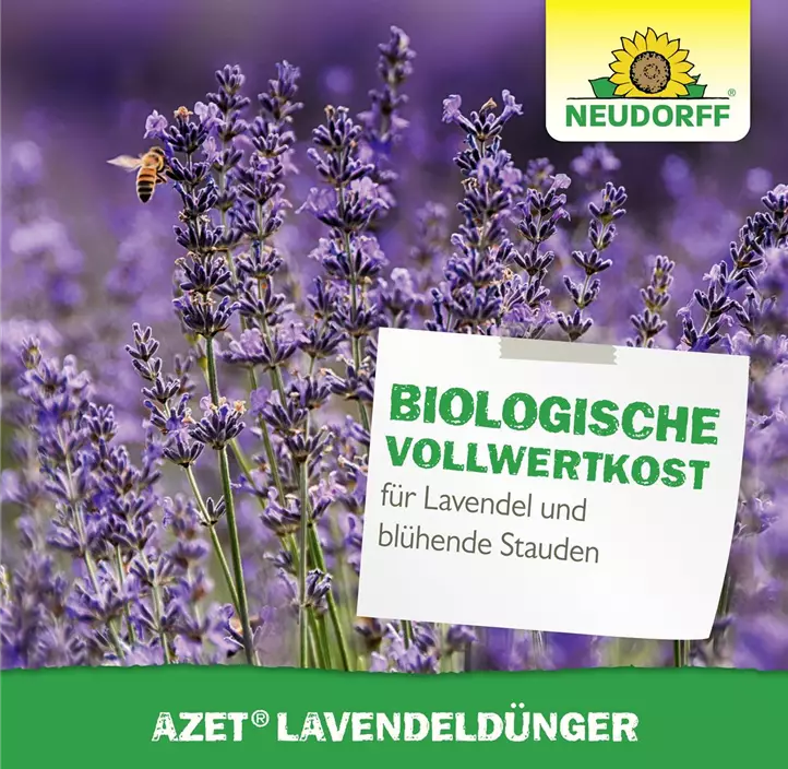 Azet Lavendel Dünger