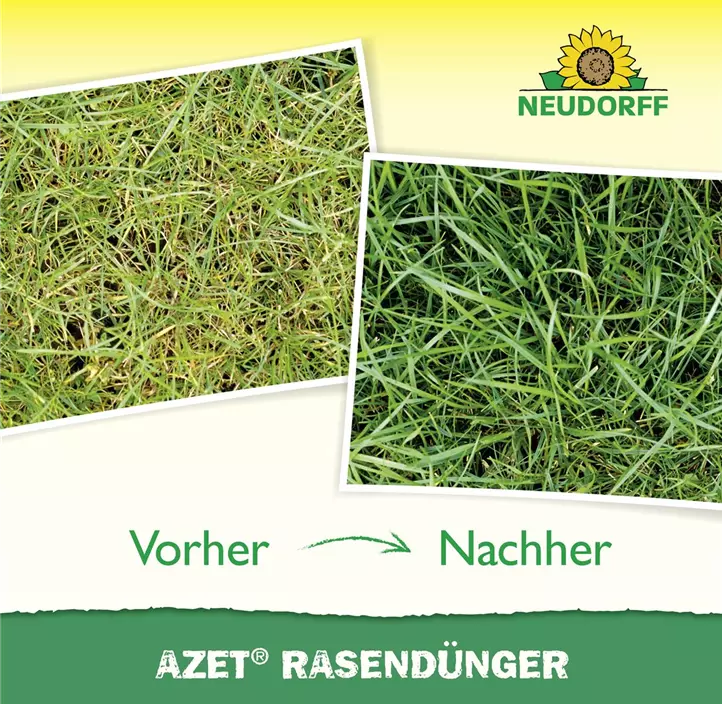 Azet Rasendünger