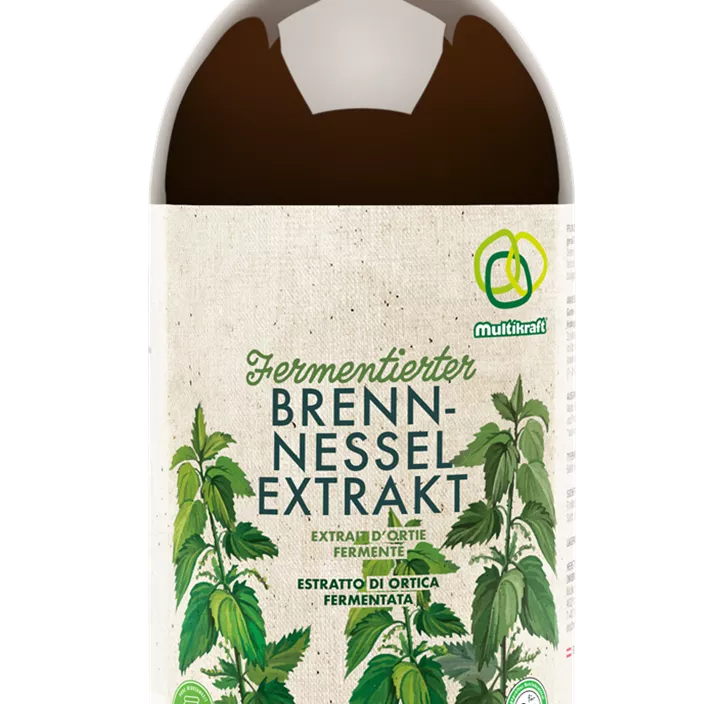 Fermentierter Brennnesselextrakt