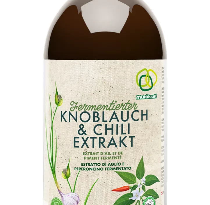 Fermentierter Knoblauch- und Chiliextrakt