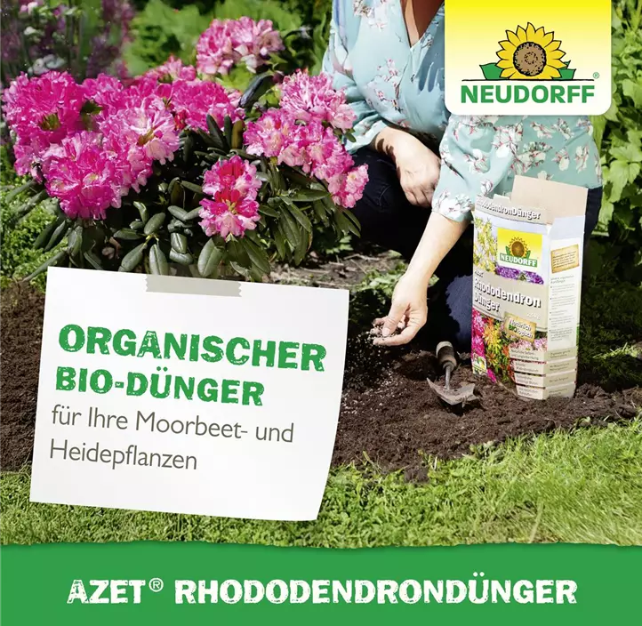 Azet Rhododendrondünger