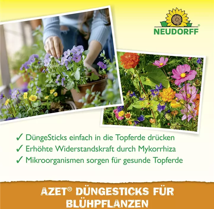Azet Düngesticks für Blühpflanzen