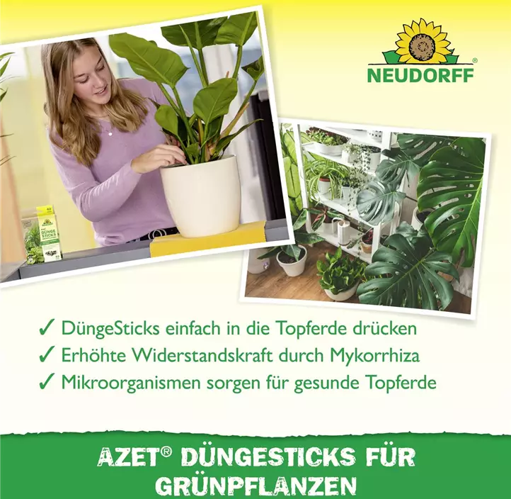 Azet Düngesticks für Grünpflanzen