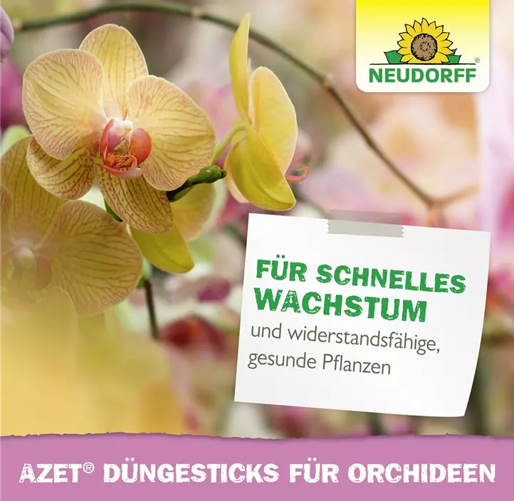 Azet Düngesticks für Orchideen