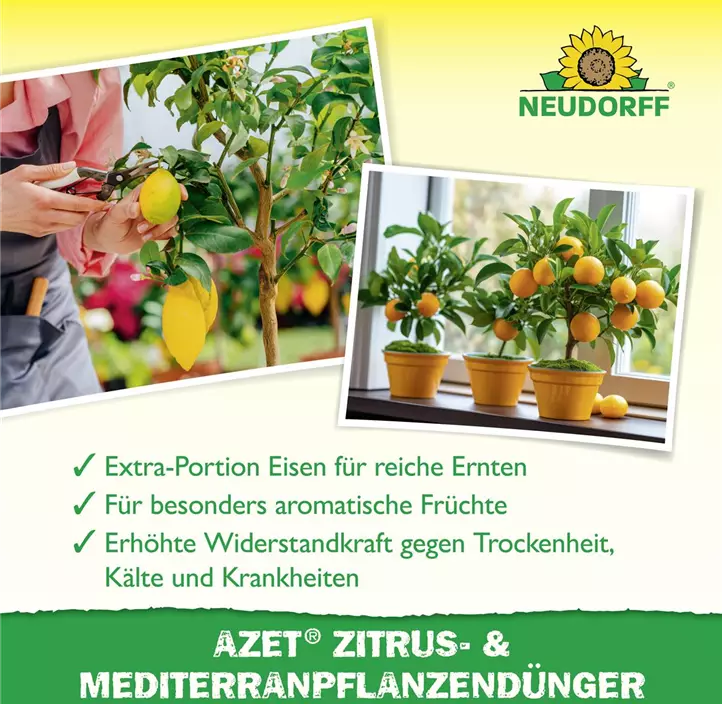 Azet Zitrus- und MediterranpflanzenDünger