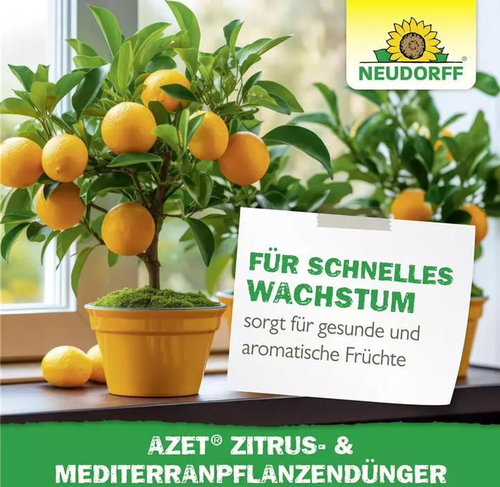 Azet Zitrus- und MediterranpflanzenDünger