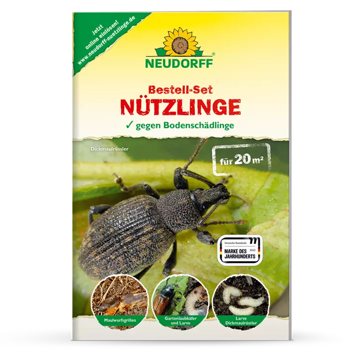 Bestell-Set Nützlinge 20 m²